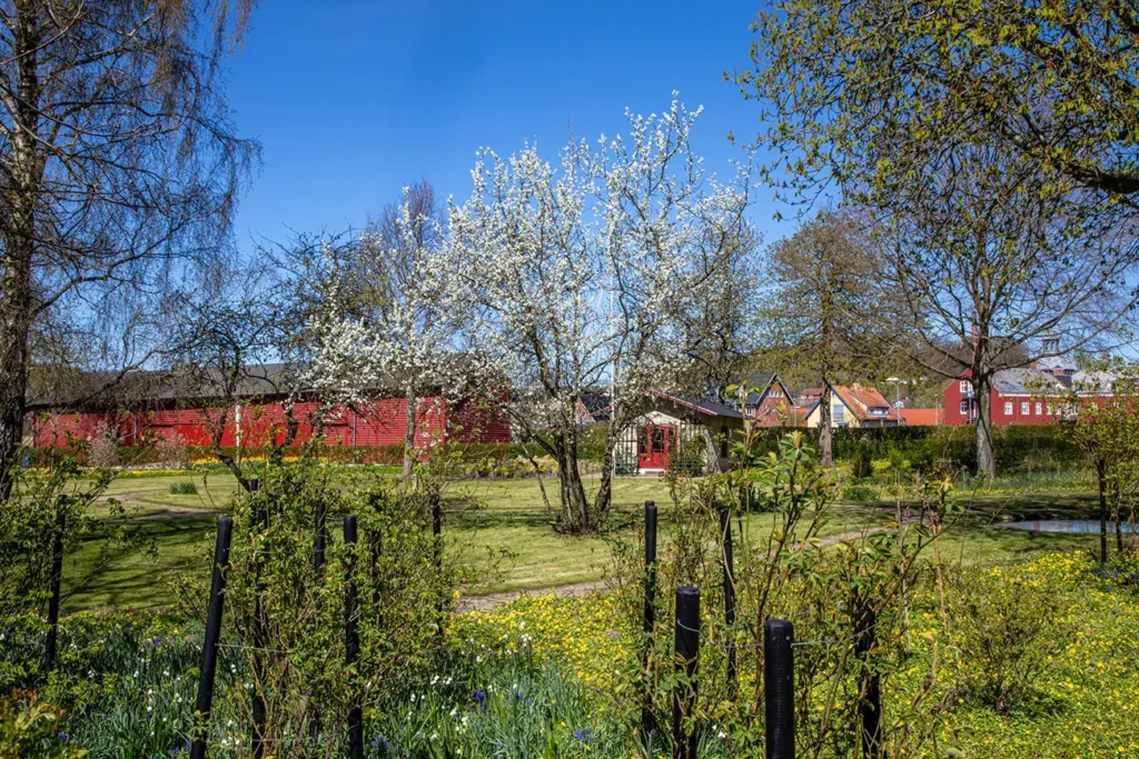 Bies Bryghus Have – Nr. 2