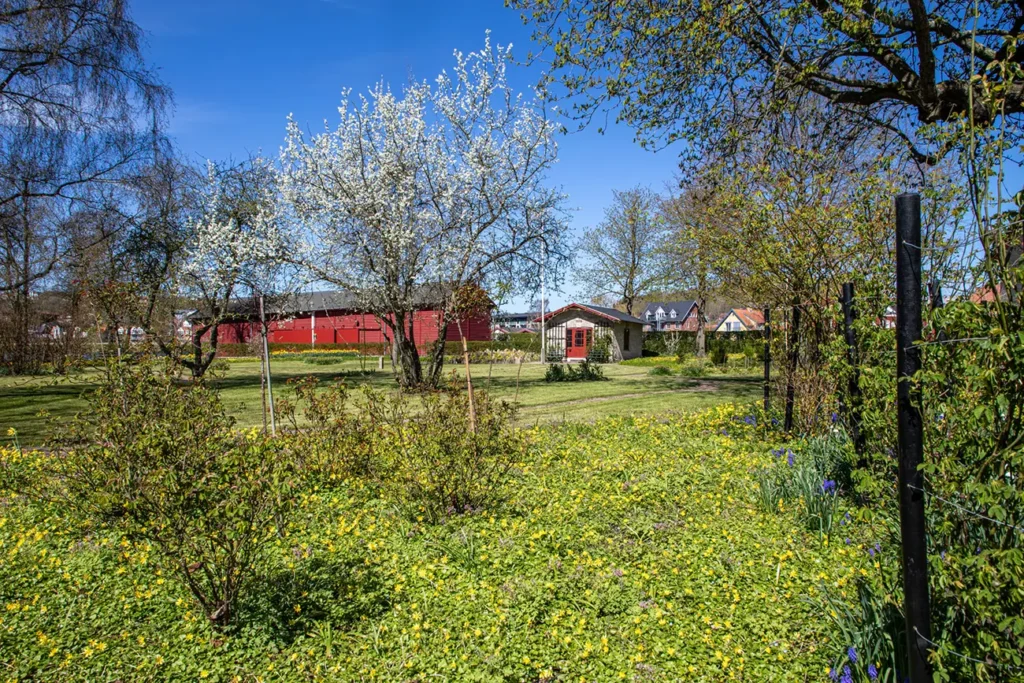 Bies Bryghus Have – Nr. 7