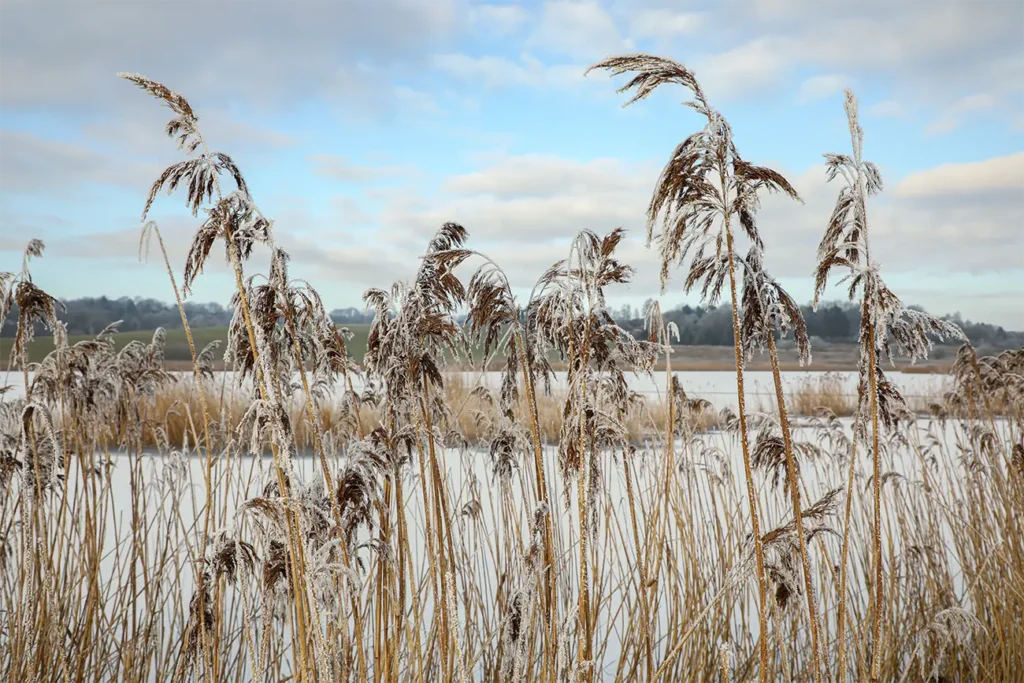 Fyrkat Vinter – Nr. 7