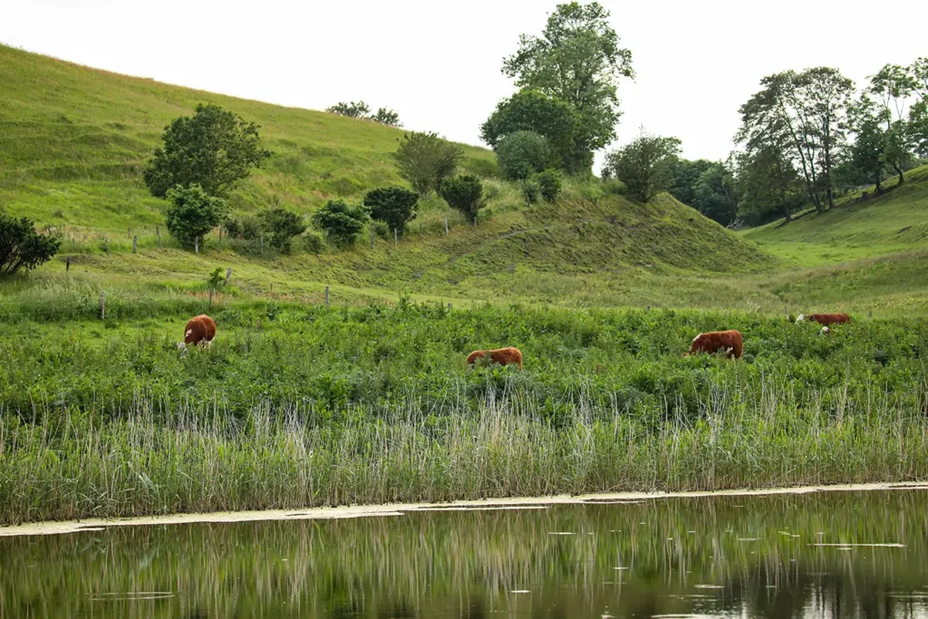 Hjerritsdal Mølle Mariagerfjord – Nr. 13