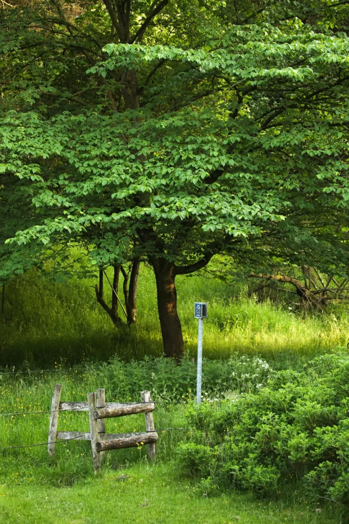 Hjerritsdal Mølle Mariagerfjord – Nr. 2