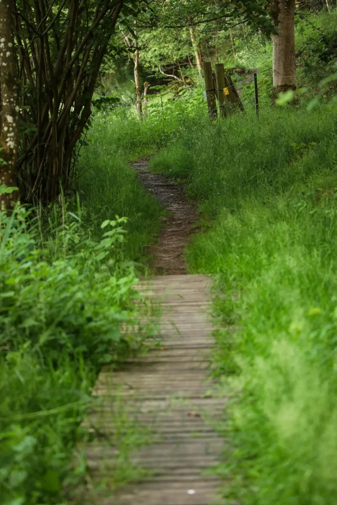Hjerritsdal Mølle Mariagerfjord – Nr. 5