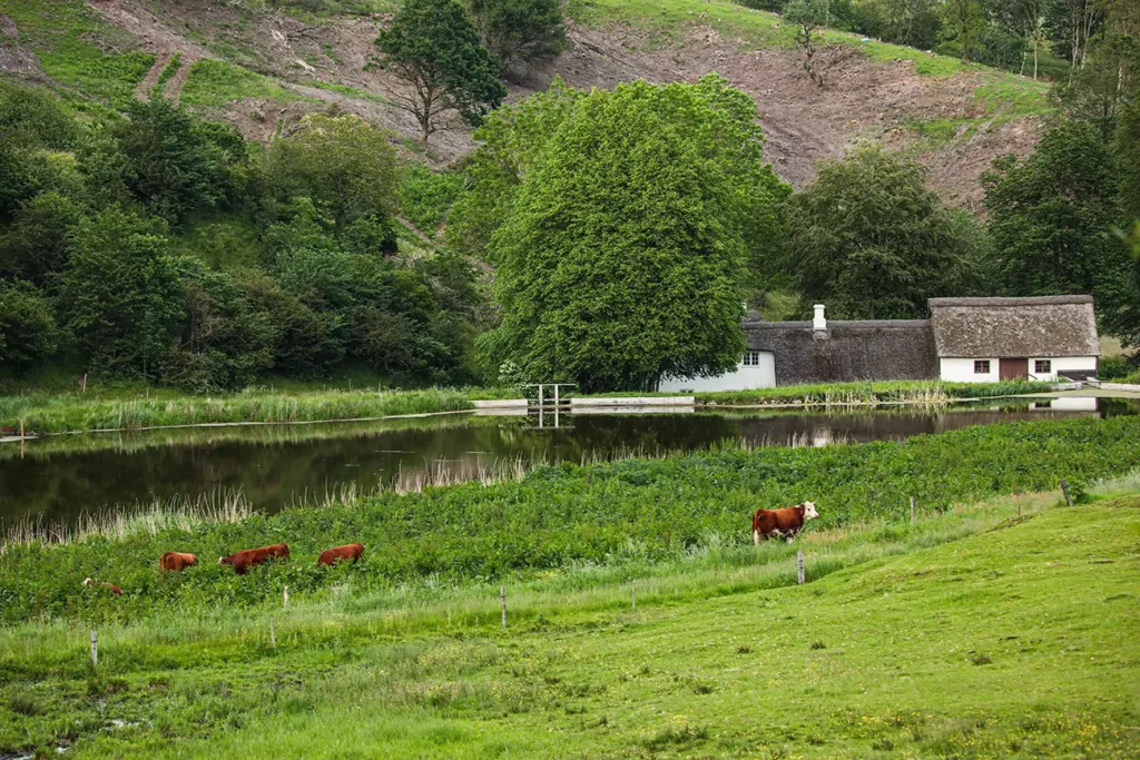 Hjerritsdal Mølle Mariagerfjord – Nr. 7