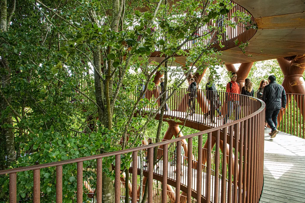 Skovtårnet på Sjælland – Nr. 6