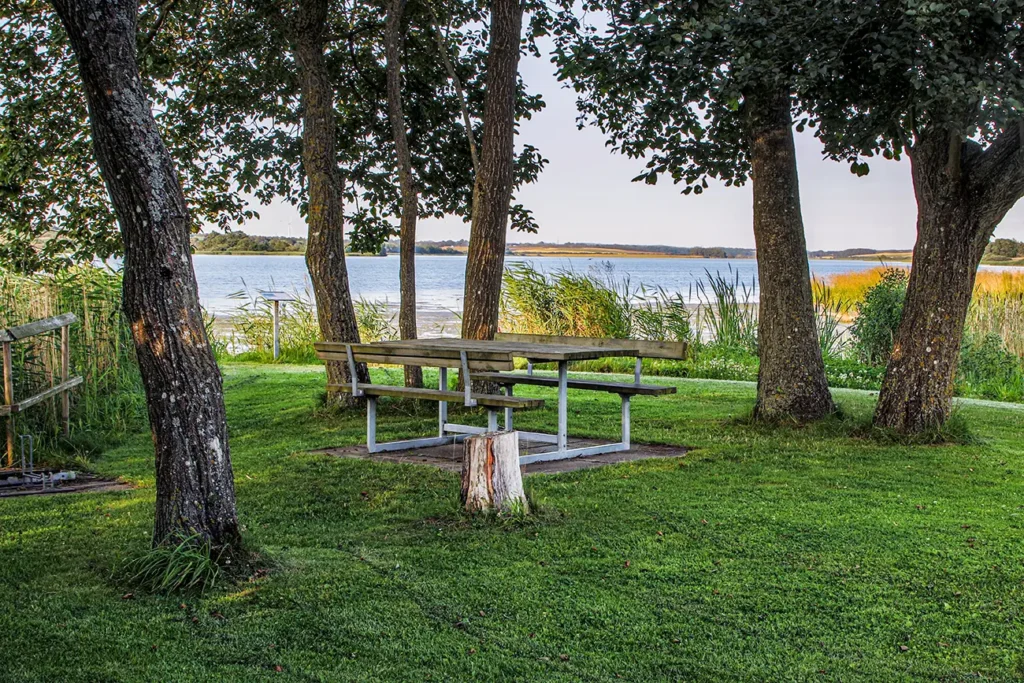 Klejtrup Sø bord og bænk ved søen
